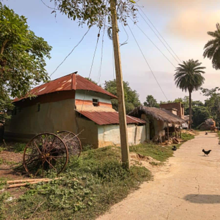 অন্যান্য আকর্ষণ: জঙ্গলের আশপাশে অনেক ছোট ছোট গ্রাম আছে, যা আপনি টোটো কিংবা রিকশা নিয়ে ঘুরে দেখতে পারেন।