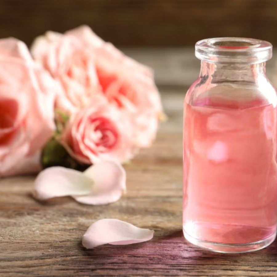 Uses and Timeless Skincare Benefits of Rose Water in Indian Beauty dgtl