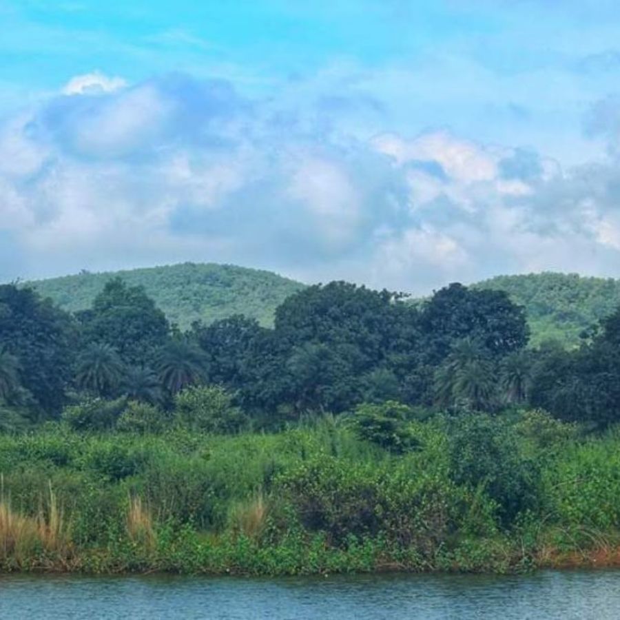 কী ভাবে যাবেন? জঙ্গলমহলে যাওয়ার জন্য সড়কপথ এবং রেলপথ– উভয় মাধ্যমই খুব ভাল।  সড়কপথে: কলকাতা থেকে সড়কপথে জঙ্গলমহলের বিভিন্ন জায়গায় যাওয়া যায়। ঝাড়গ্রাম, মেদিনীপুর বা পুরুলিয়ার মতো শহরে বাসে বা গাড়িতে করে যাওয়া সম্ভব। এই রুটে রাস্তা বেশ ভাল।