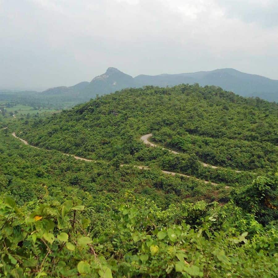 Plan Your Trip to Junglemahal this puja dgtl