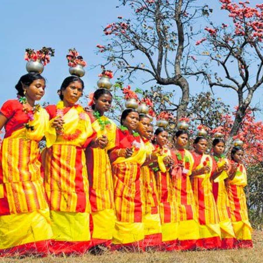 আদিবাসী পুজো: জঙ্গলমহলের অনেক আদিবাসী গ্রামে দুর্গাপুজো হয়। এখানকার পুজোয় কোনও জাঁকজমক না থাকলেও, তাঁদের ঐতিহ্যপূর্ণ নাচ-গান পুজোর পরিবেশকে এক অন্য মাত্রা দেয়। এই সময়ে আপনি তাঁদের সংস্কৃতি এবং জীবনধারা সম্পর্কে জানতে পারবেন।