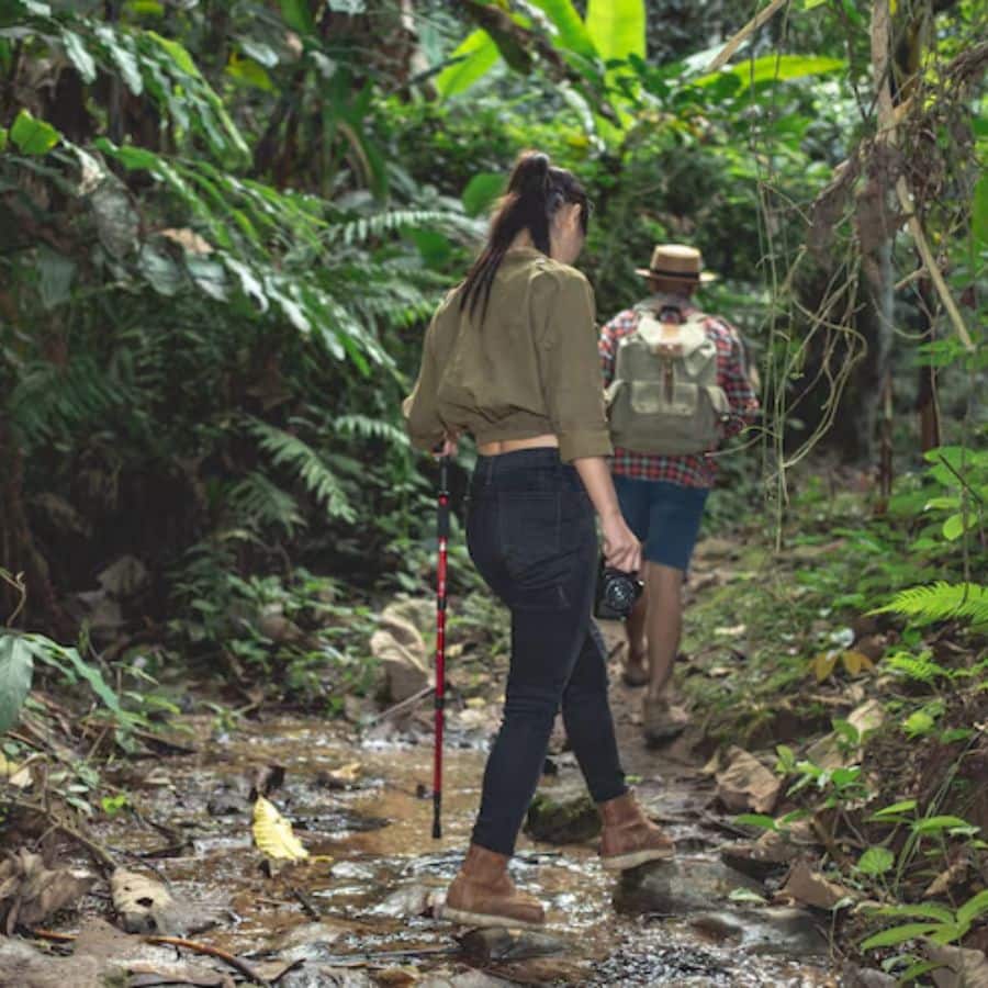প্রকৃতি দর্শন: পুজোর দিনে ঠাকুর দেখার ফাঁকে জঙ্গলে ট্রেকিং করতে পারেন। ঝাড়গ্রামের ডিয়ার পার্ক, বাঁকুড়ার মুকুটমণিপুর জলাধার বা পুরুলিয়ার অযোধ্যা পাহাড়ের মতো জায়গায় গেলে আপনি প্রকৃতির মাঝে এক শান্ত সময় কাটাতে পারেন।