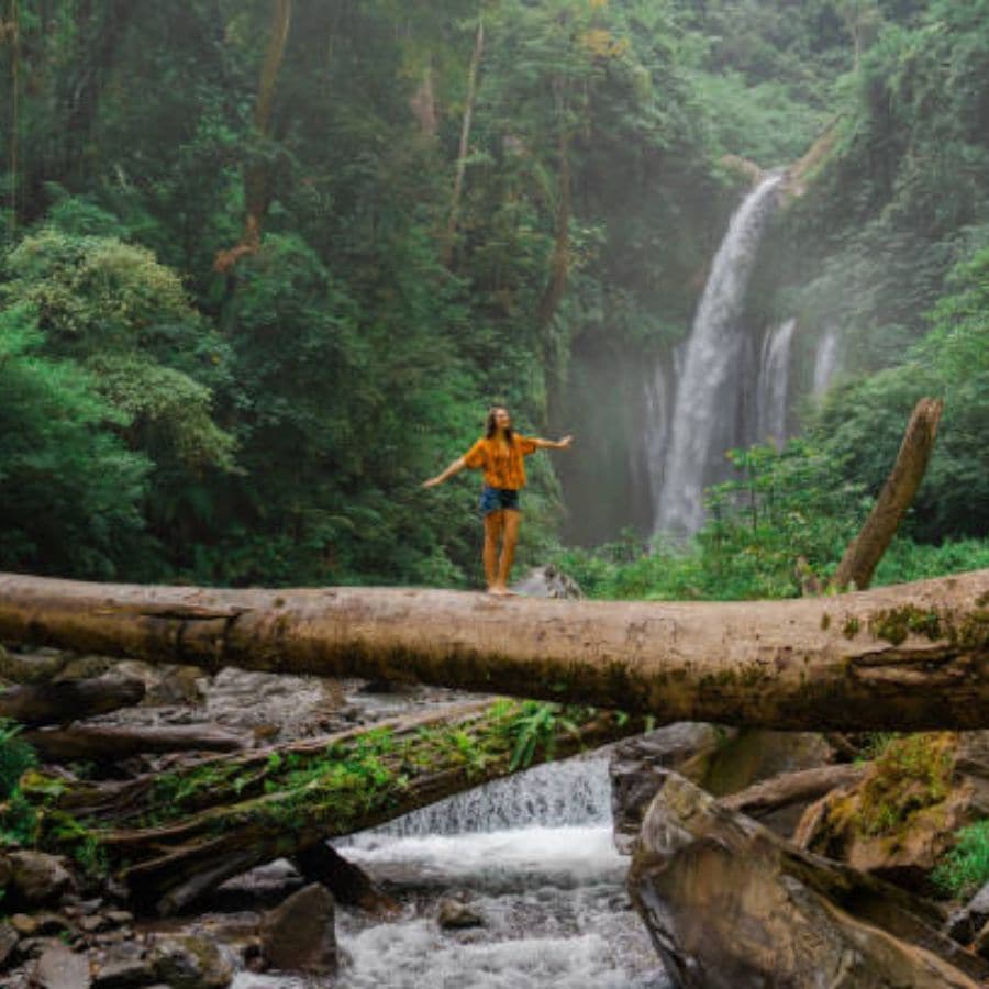 এই পুজোয় অরণ্যেই কাটুক না দিনরাত্রি। প্রকৃতির কোলে এক অসাধারণ অভিজ্ঞতা থাকবে আপনারই অপেক্ষায়।   (এই প্রতিবেদনটি ‘আনন্দ উৎসব’ ফিচারের একটি অংশ)।
