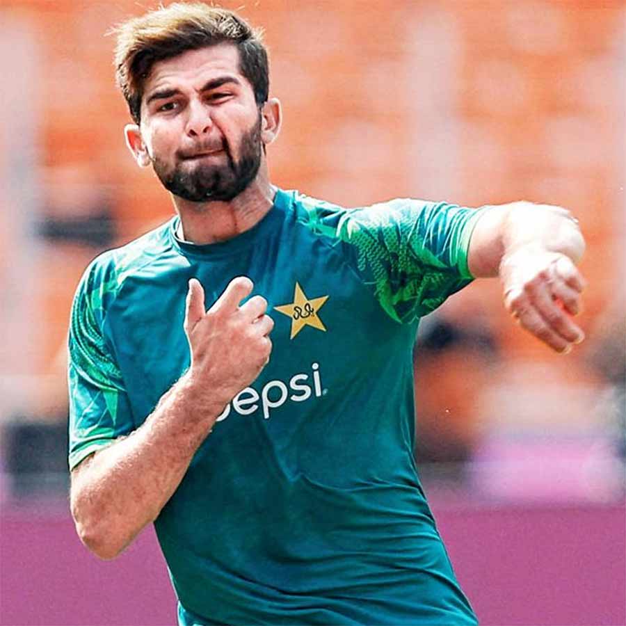 Pakistan coach Mike Hesson's comments shock the cricket world