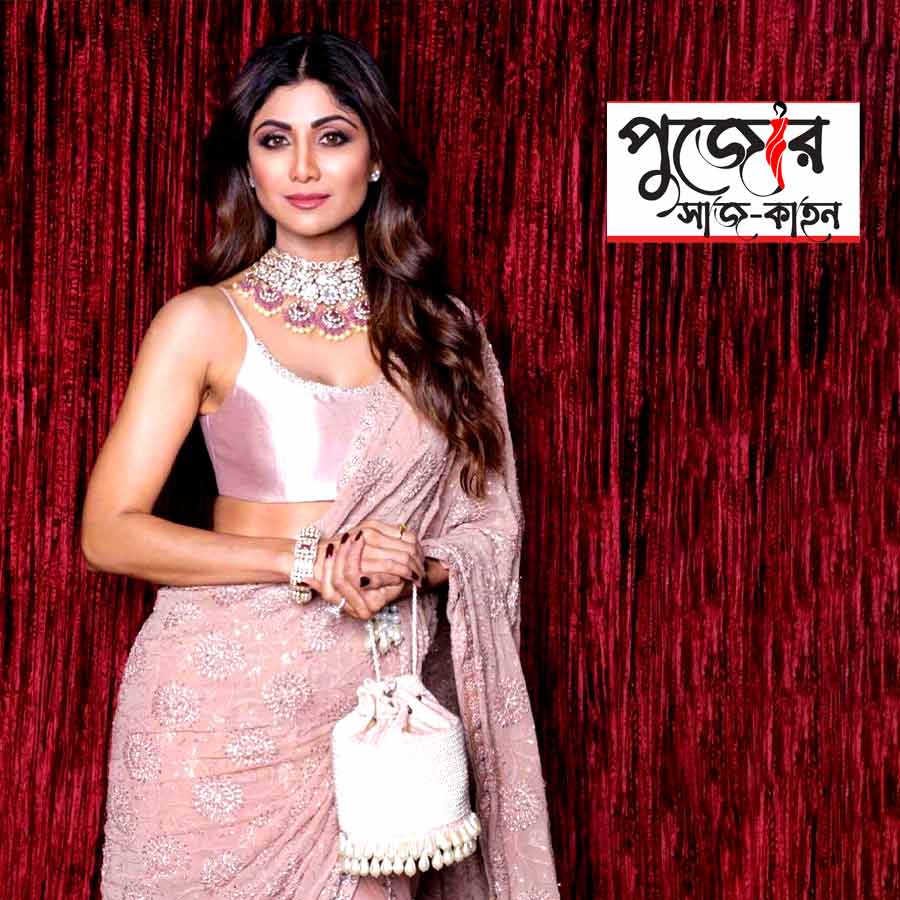 Stylish bag collection you can buy for Durga Puja 2025 dgtl