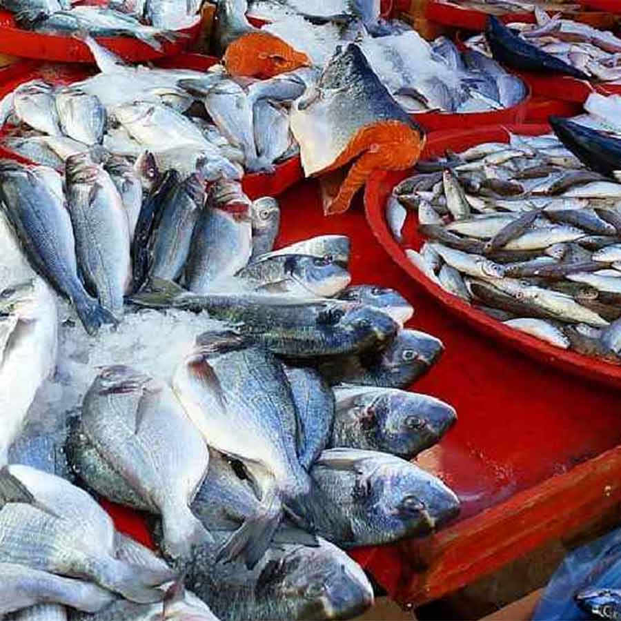 The price index has risen