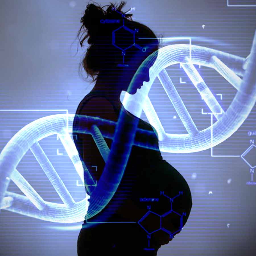 DNA Test of Survivor and Child Cannot Be Ordered Casually, Allahabad High Court Upholds Trial Court’s Rejection dgtl