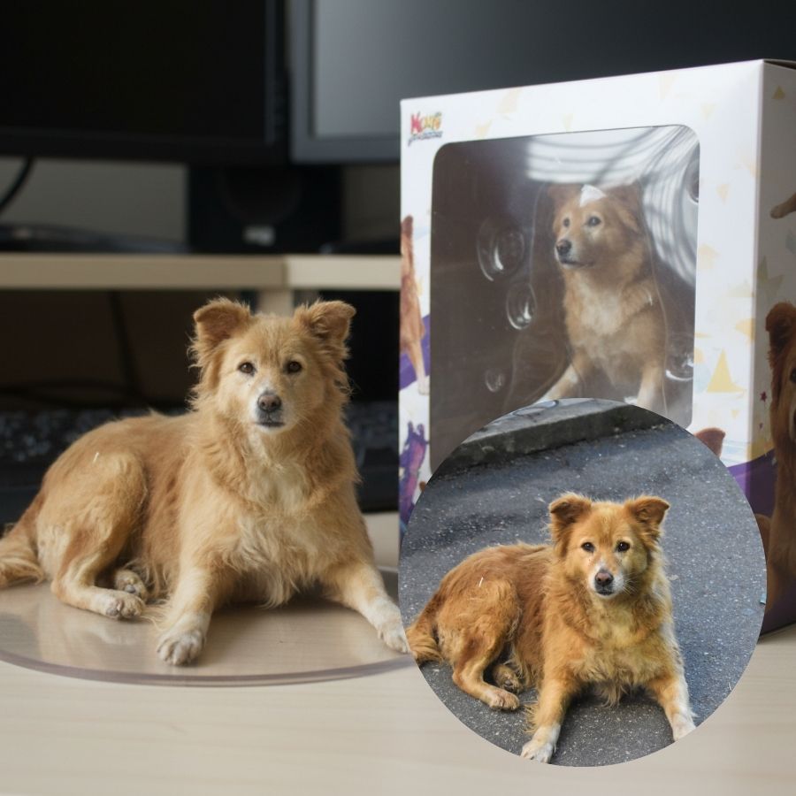 Image of 3D model created with written instructions (original image in inset).