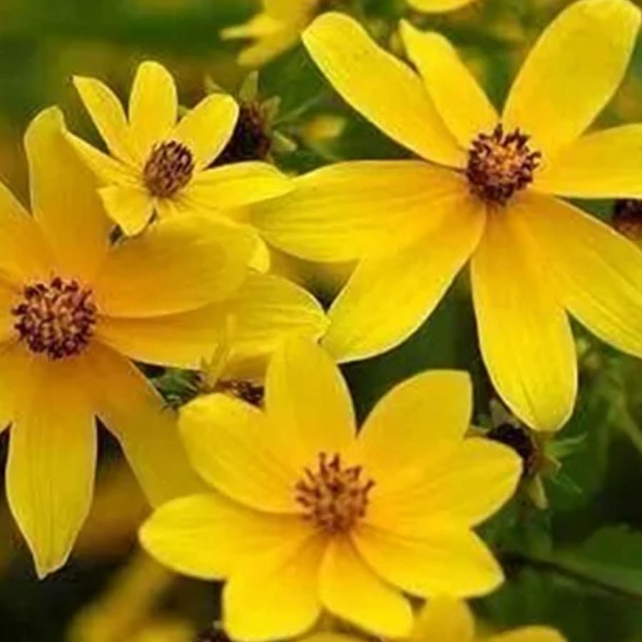 All need to know about this East African country just celebrating their 2018