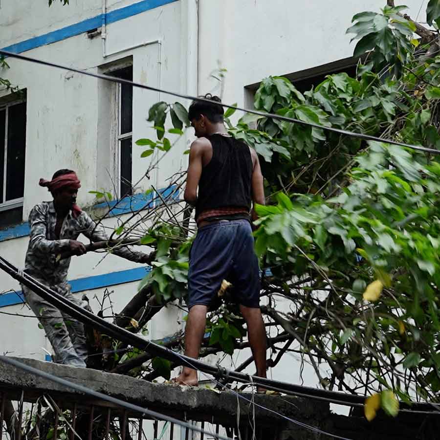 Does advertising during Puja hampers Kolkata’s Greenery dgtl