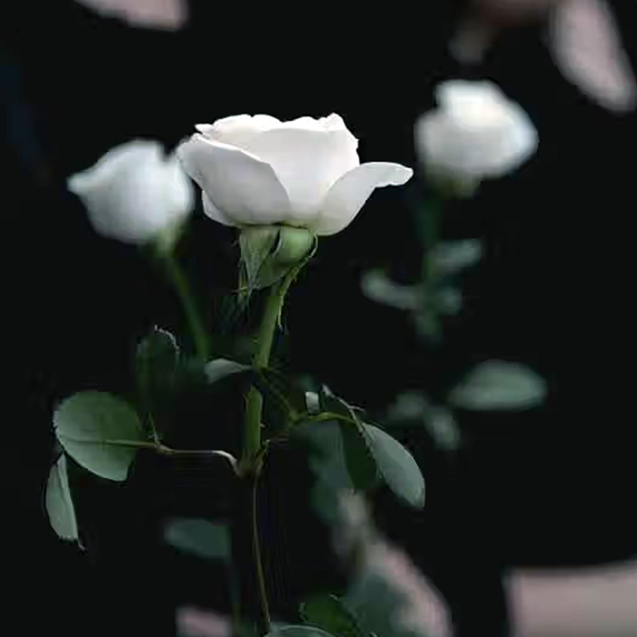 Pretha Maduve or kule madime