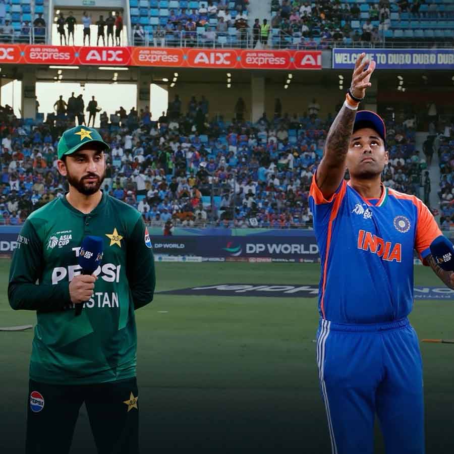 cricket