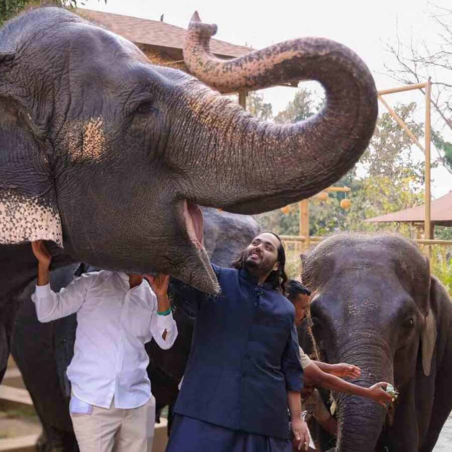 Supreme Court appointed SIT gives clean chit to Vantara in their probe report dgtl