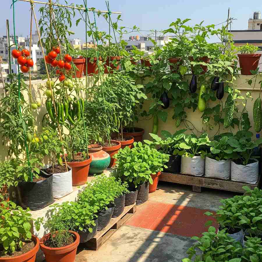 ছবি: এআই সহায়তায় প্রণীত।