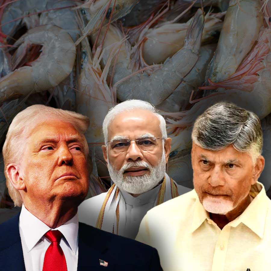 Andhra Pradesh CM Chandrababu Naidu seeks urgent support from centre for the state’s aqua sector, which is reeling under severe losses due to the US tariff dgtl