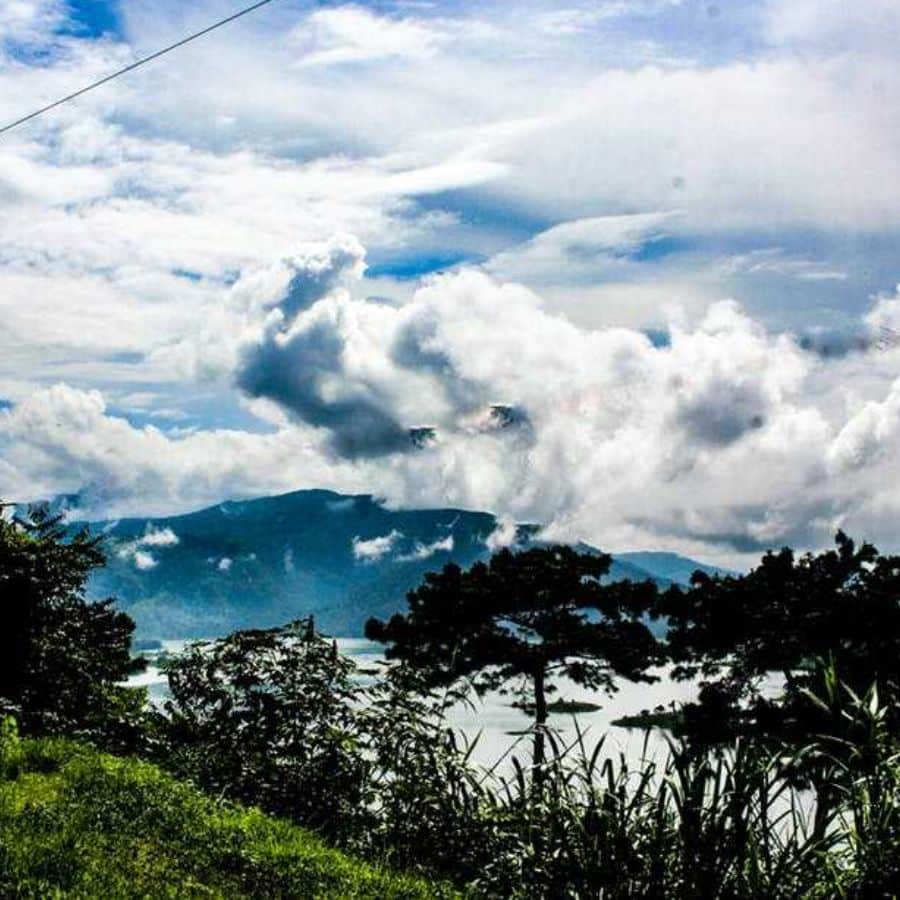 এ দিন যাওয়ার পথে দেখে নিন উমিয়াম হ্রদ। একই সঙ্গে দেখে নিন ক্যাথিড্রাল চার্চ। শিলং পৌঁছে একটু বিশ্রাম নিয়ে পায়ে হেঁটে ঘুরে দেখুন পুলিশ বাজার। উহু, কেবল ঘুরে দেখা নয়। করে ফেলুন মন খুলে কেনাকাটাও। আর রাস্তার ধারে নানা ধরনের কাবাব, ইত্যাদির সম্ভার তো রয়েছেই পেটপুজোর জন্য। 