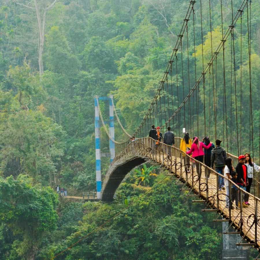 এই গ্রামেই মধ্যাহ্নভোজ সেরে রওনা দিন জীবন্ত সেতুর উদ্দেশ্যে। মনে রাখবেন এখানে যেতে বেশ অনেকটাই হাঁটতে হয়, ফলে সঙ্গে ছাতা, লাঠি এবং জল অবশ্যই রাখবেন। 