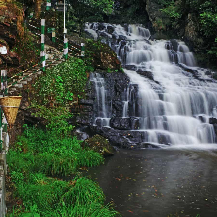 পঞ্চম দিন চেরাপুঞ্জি থেকে শিলং ফিরুন। পথে এলিফ্যান্ট ঝর্না, লাইটলাম ক্যানিয়ন, মোফলাং জঙ্গল দেখে নিন। পর দিন শিলং থেকে গুয়াহাটি নেমে এসে প্লেন বা ট্রেন ধরে সোজা প্রাণের শহর ফিরে আসুন।