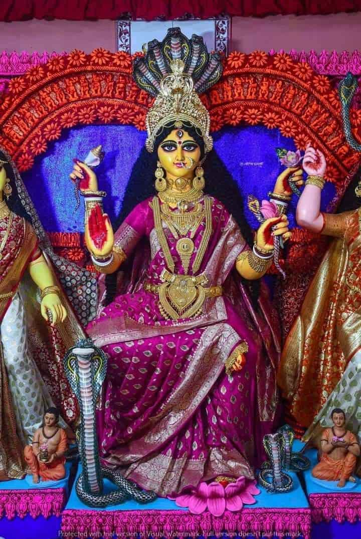 হ্যাঁ, বরং রান্না পুজোর সঙ্গে যোগ রয়েছে দেবী মনসার। ভাদ্র মাসের সংক্রান্তিতে অর্থাৎ শেষ দিনে পুজো হয় মনসার। 