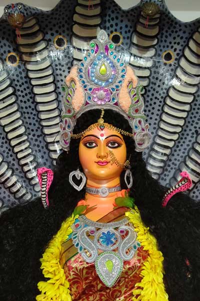 কিন্তু কেন এই সময় দেবী মনসার পুজো হয়? কথিত আছে এক সময় বঙ্গদেশে এক সদাগর ছিল যার ৭ বউ ছিল। এই সদাগরের বউরা সকলে মিলে একদিন সন্ধ্যায় বনের পাশে পুকুরে স্নান করতে যায়। 