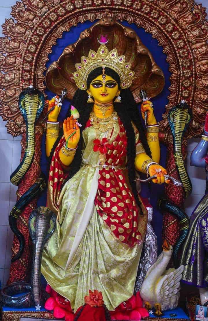 এক সময় সাপগুলি ভাবে যে তারা স্বর্গে গিয়ে দেবী মনসাকে সব কথা জানাবে এবং এই ছোট বউকে সাহায্য করবে। যেমন ভাবা, তেমন কাজ। দেবী মনসা তাকে স্বর্গে নিয়ে আসে এবং বলে সে যেন রোজ মনসার পুজো করে এবং অষ্টনাগের জন্য গরম দুধ রাখে। দক্ষিণ দিকে না তাকানোর নির্দেশও দেন। 