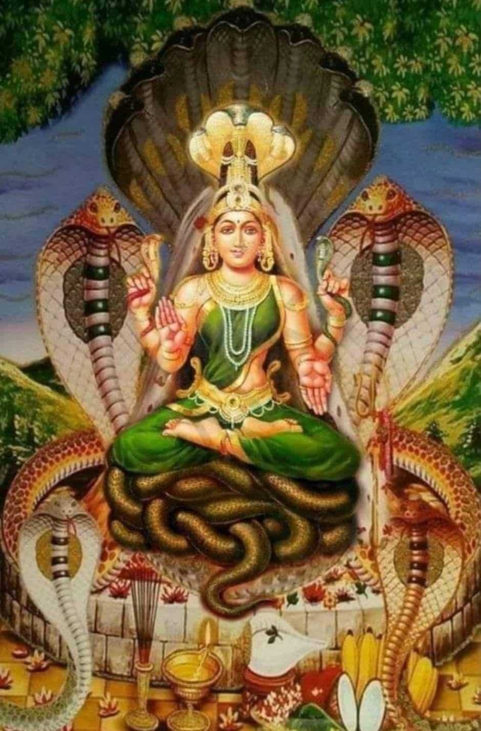 আর এতেই সে ভুলে যায় অষ্টনাগের জন্য দুধ গরম করে রাখতে। দেবীর নাচ শেষ হলে সে তড়িঘড়ি দুধ গরম করে আনে, কিন্তু সেটা খেতে গিয়ে সাপেদের জিভ পুড়ে যায়। তারা রাগের চোটে তাকে কামড়াতে যায়। 