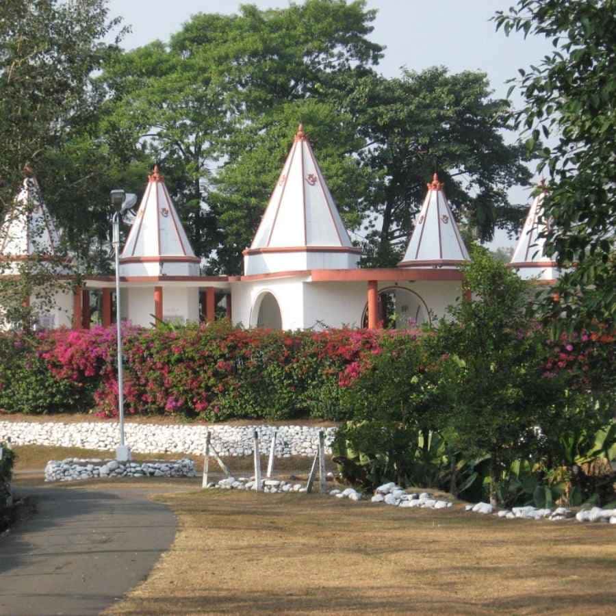 সংগৃহীত চিত্র