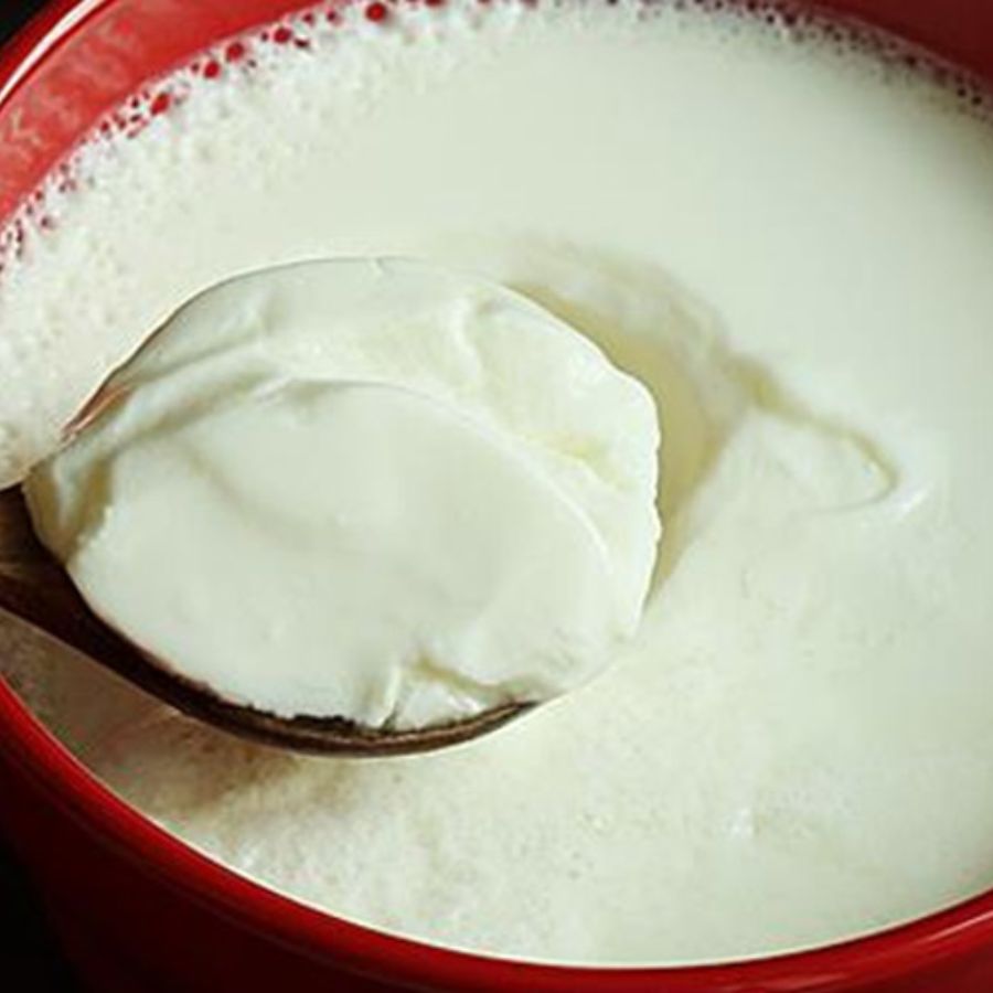 ৫.  আলাদা একটি বাটিতে টক দই, চিনি এবং নুন একসঙ্গে মিশিয়ে নিন। এর পরে এই মিশ্রণটি কড়ায় দিয়ে দ্রুত নাড়তে থাকুন, যাতে দই ফেটে না যায়। আঁচ একদম কমিয়ে রাখবেন।