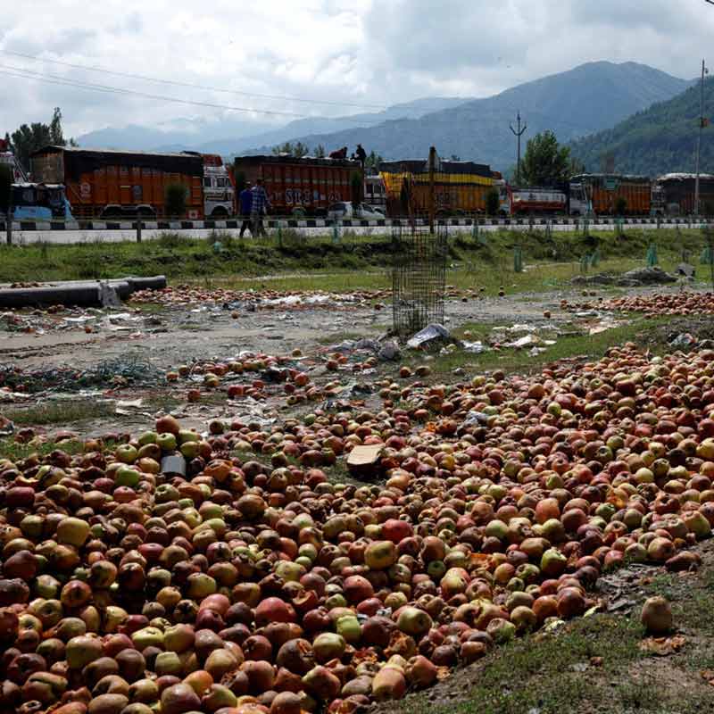 Apples worth Rs 700 crore rot on truck in Jammu and Kashmir