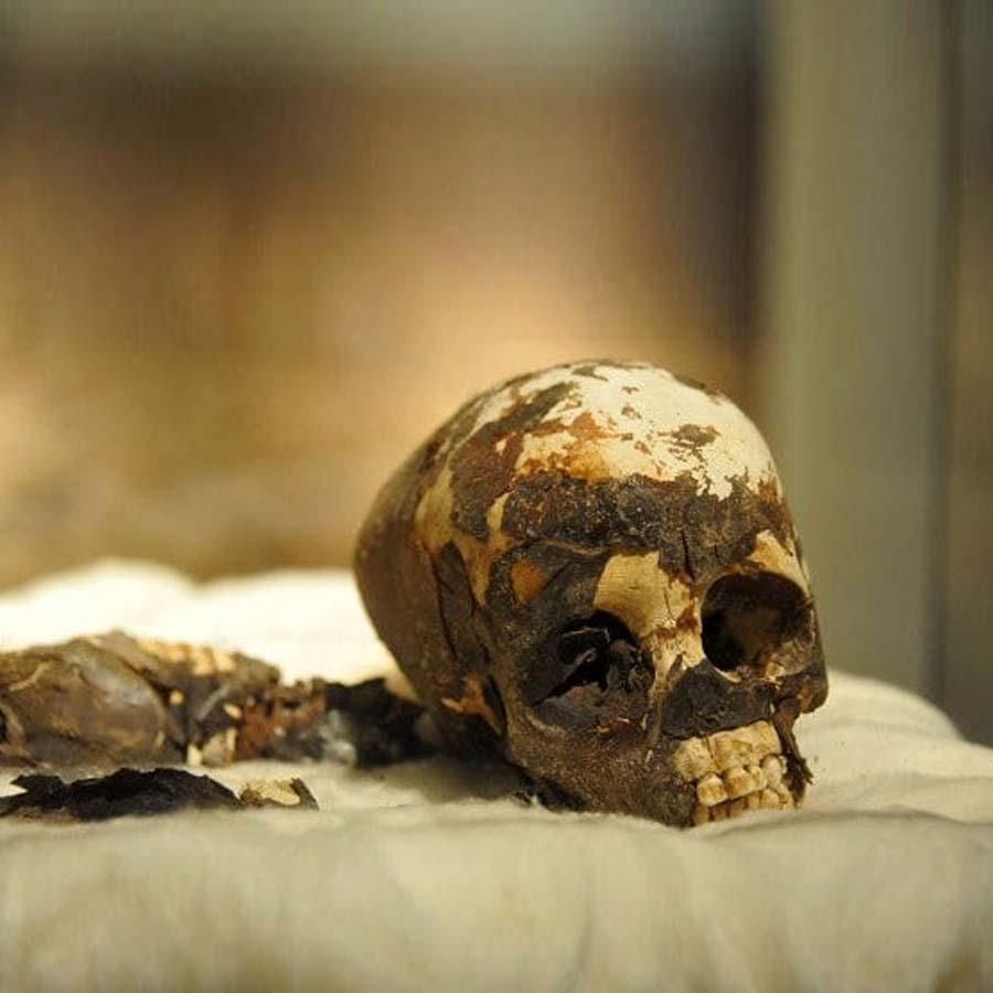 Researchers discover oldest known evidence of human mummification in Asia dgtl
