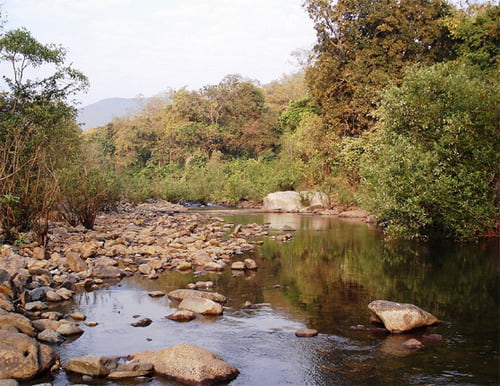 লুলুং নদী: বাংরিপোসির পাশ দিয়ে বয়ে গিয়েছে লুলুং নদী। এই নদীর শান্ত পরিবেশ আপনার মনকে মুগ্ধ করবে। এখানে নদীর পাশে বসে বা হেঁটে শান্তিতে সময় কাটাতে পারেন।