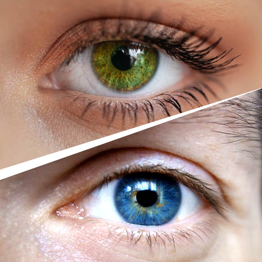 What are the genetics of eye colour