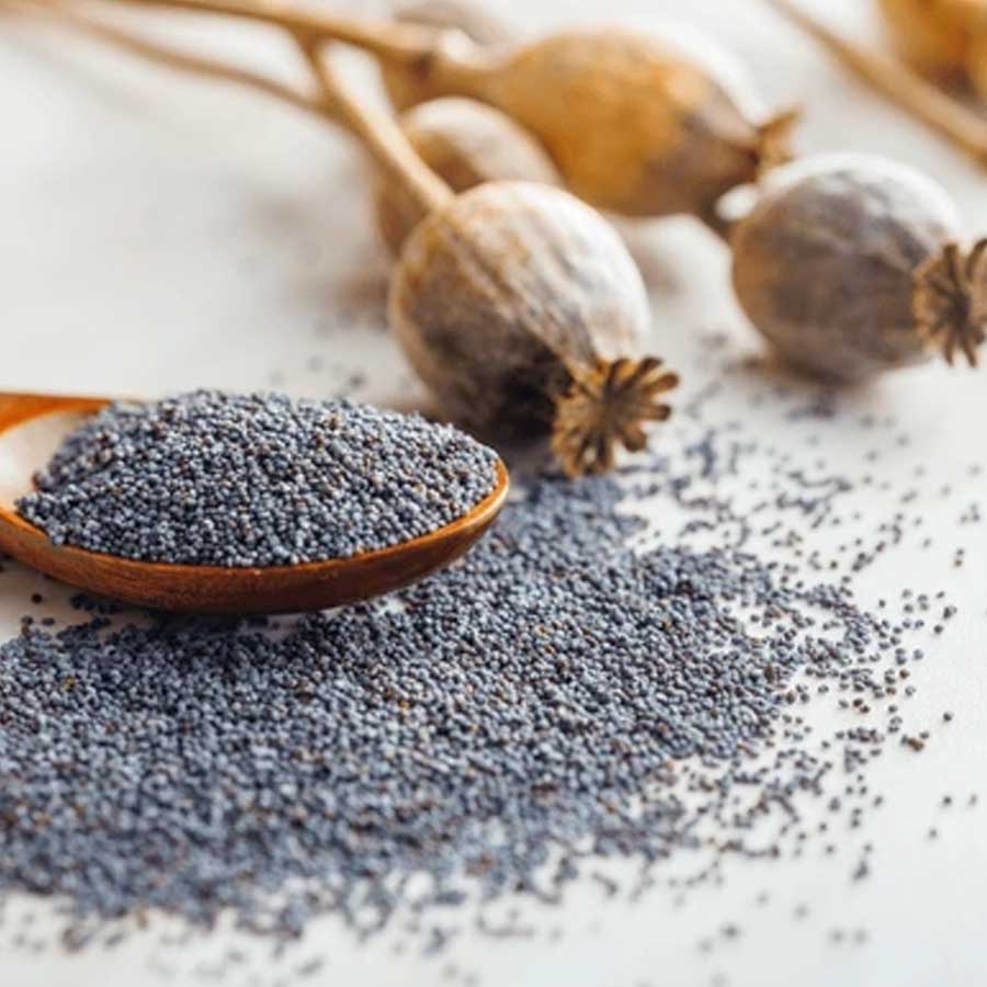 Opium capital of the world