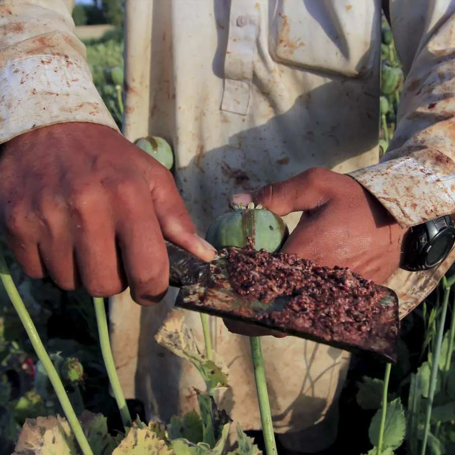 Opium capital of the world