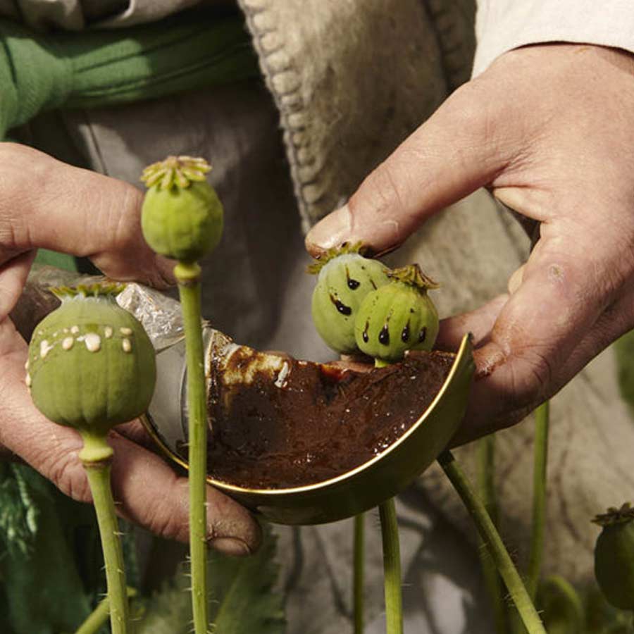 Opium capital of the world