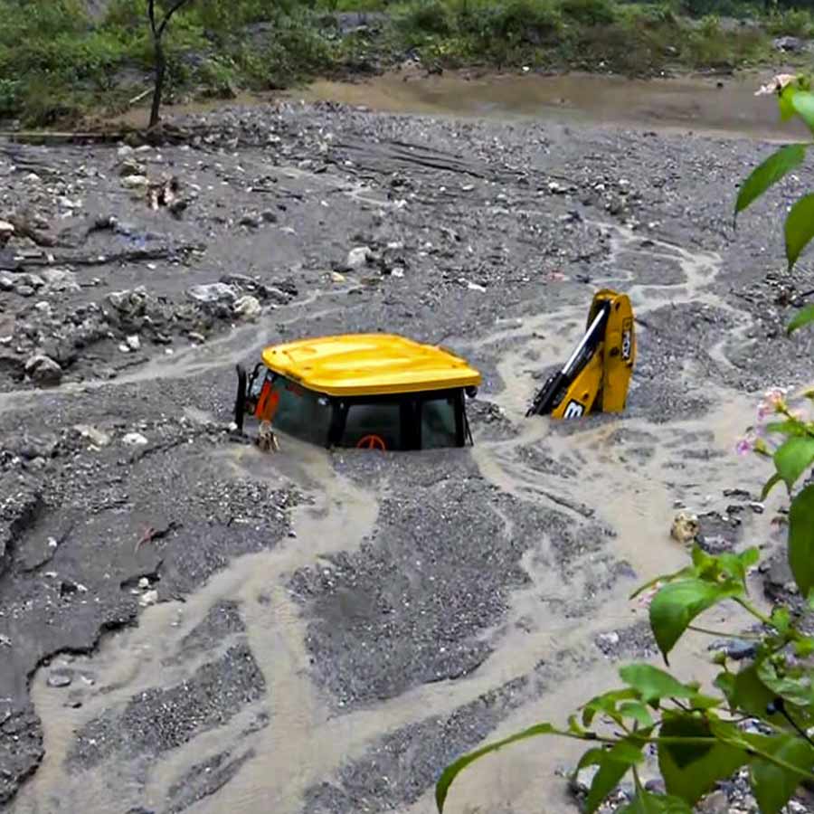 Natural calamities will increase