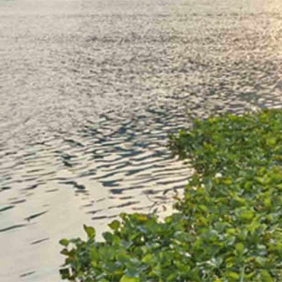 Speculations regarding new water body filling rules and regulations