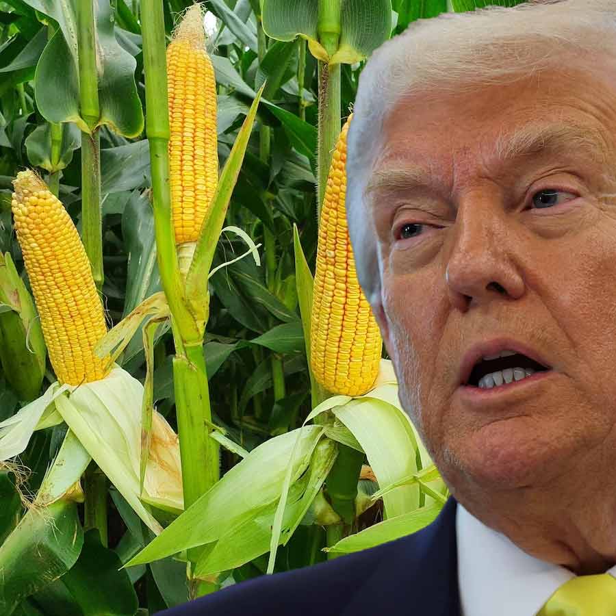 Why India Doesn\\\\\\\'t Need American Corn