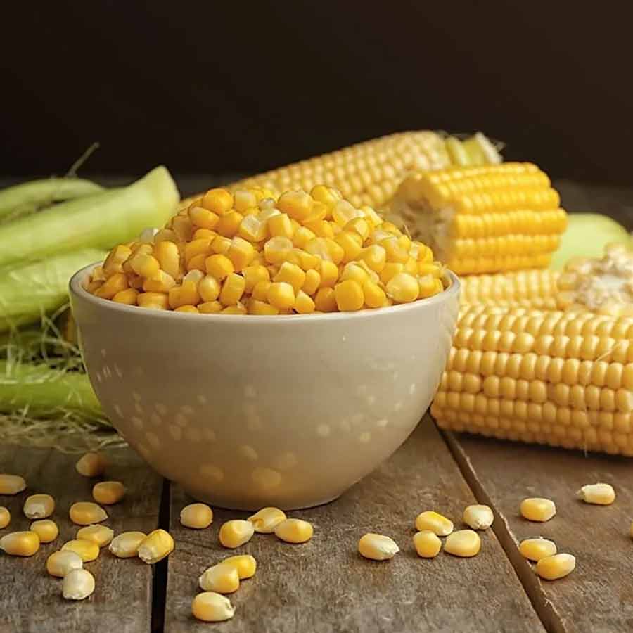 corn tariff