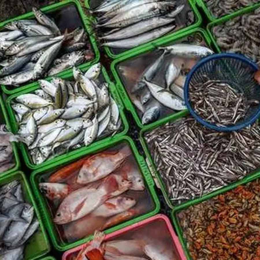 European Union has approved 102 additional fishery units for shipments, India’s seafood market might get a boost