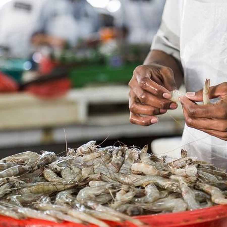 European Union has approved 102 additional fishery units for shipments, India’s seafood market might get a boost