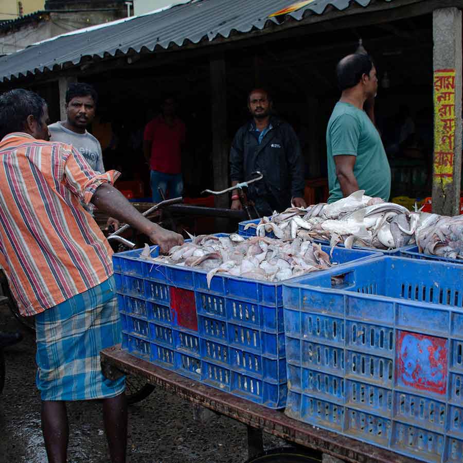 European Union has approved 102 additional fishery units for shipments, India’s seafood market might get a boost