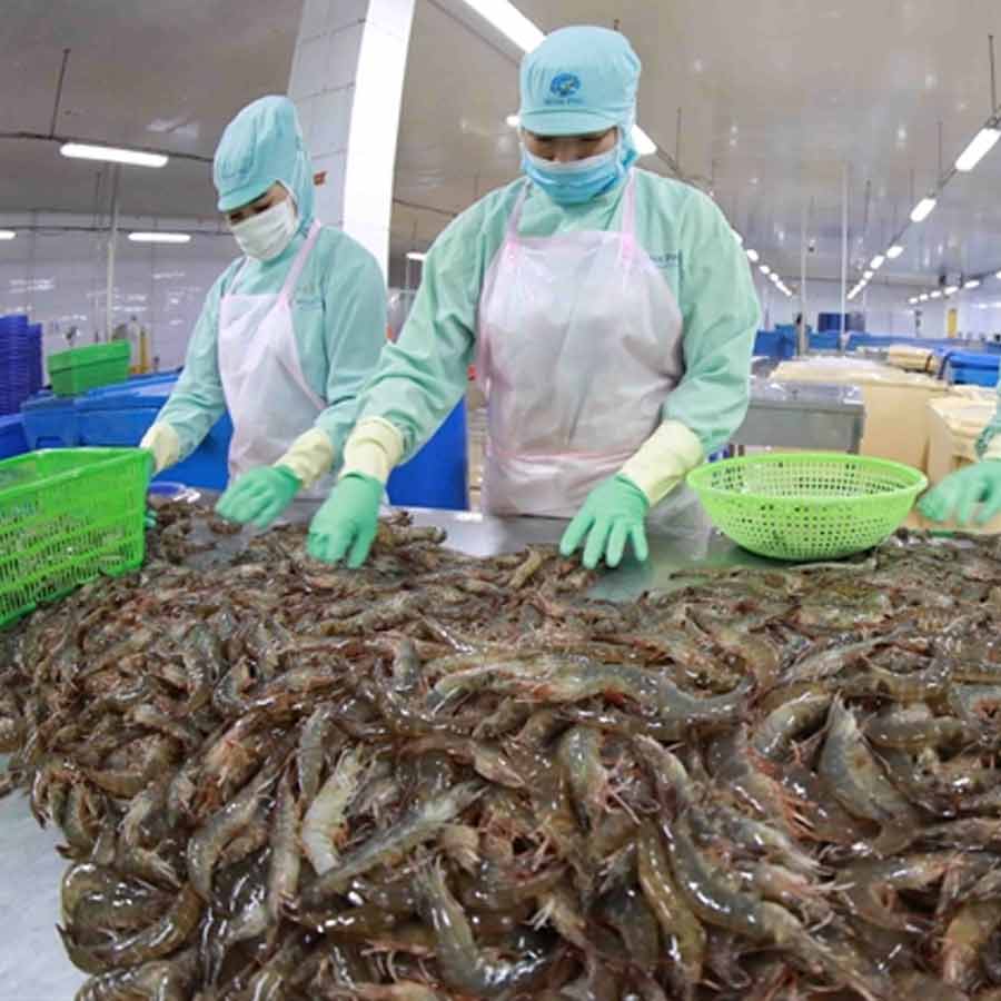 European Union has approved 102 additional fishery units for shipments, India’s seafood market might get a boost