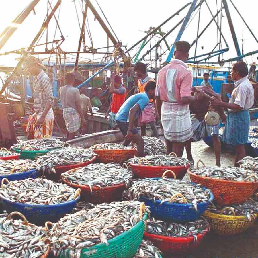 European Union has approved 102 additional fishery units for shipments, India’s seafood market might get a boost