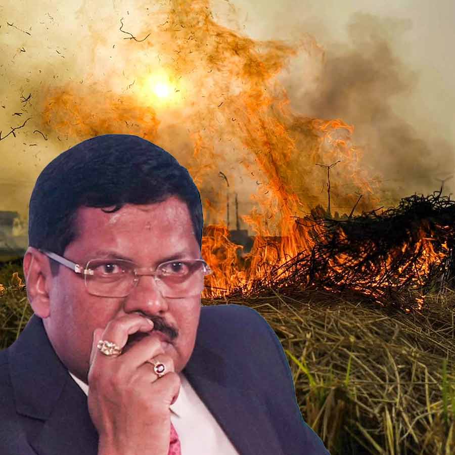 Supreme Court suggests to send a few behind bars to control stubble burning dgtl