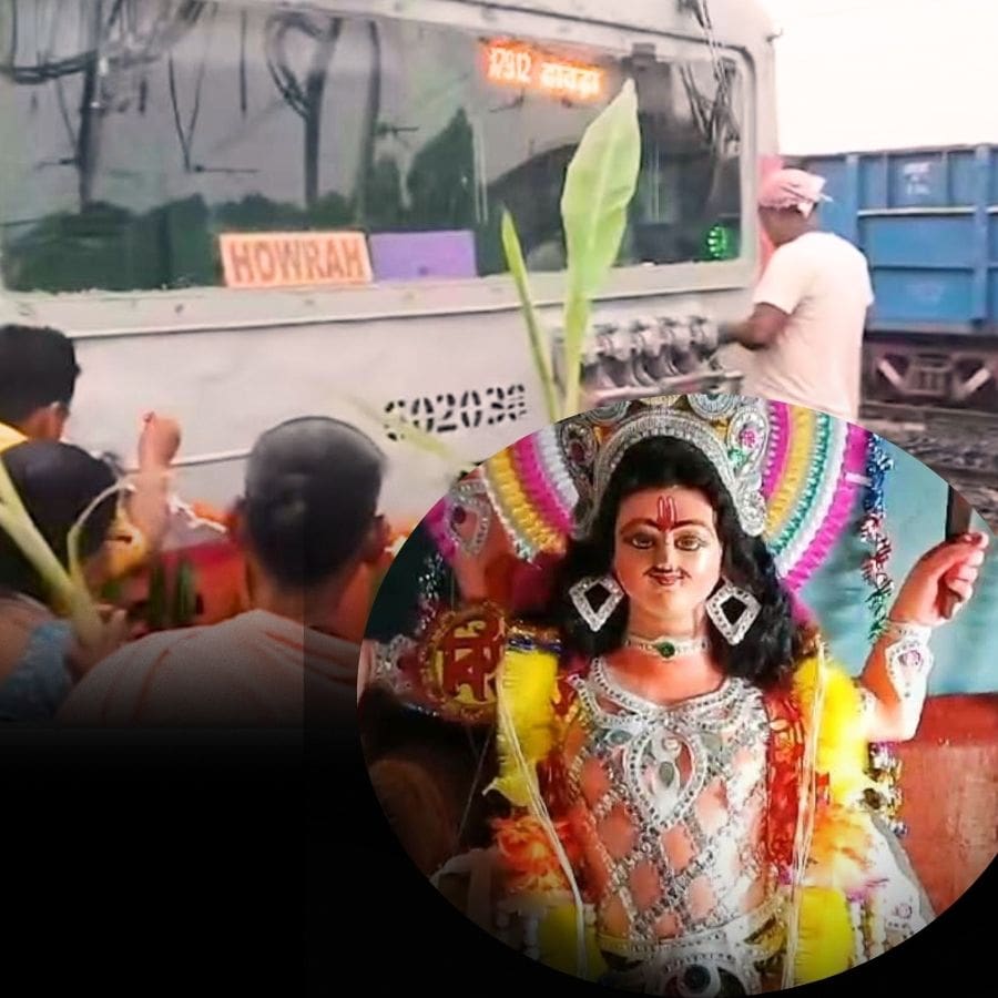 সংগৃহীত চিত্র।