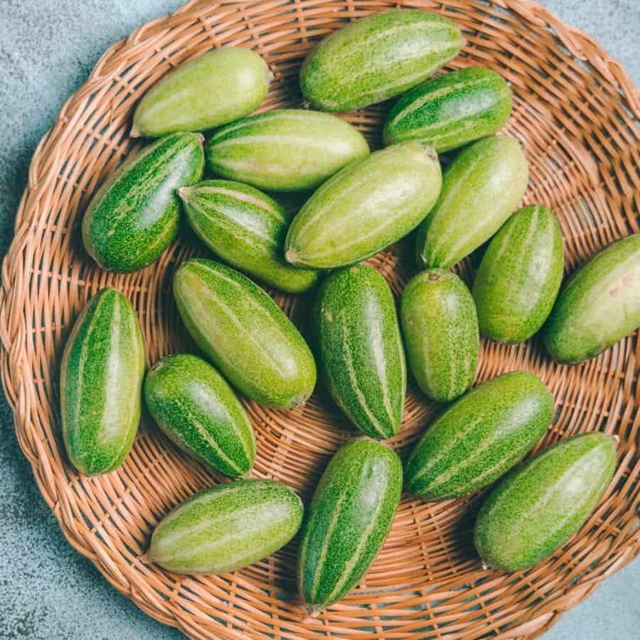 পটল পোস্তর উপকরণ: পটল: ১০-১২টি (মাঝারি আকারের), পোস্ত: ৪ চামচ, নারকেল কোরা: ১/৪ কাপ, সর্ষের তেল: ৪-৫ চামচ, কালো জিরা: ১/২ চামচ, শুকনো লঙ্কা: ২টি, হলুদ গুঁড়ো: ১/২ চামচ, নুন: স্বাদ মতো, চিনি: ১/২ চামচ, কাঁচা লঙ্কা: ২-৩টি ।