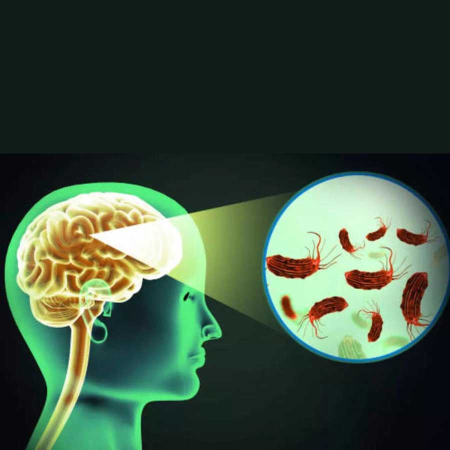 Concern rises after Brain-Eating Amoeba kills several people In Kerala