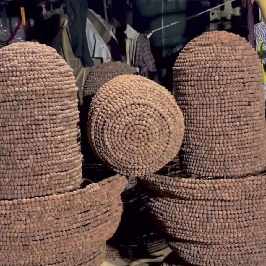 দক্ষিণ কলকাতার দুর্গোৎসব মানেই চেতলা অগ্রণীর আলাদা টান। 