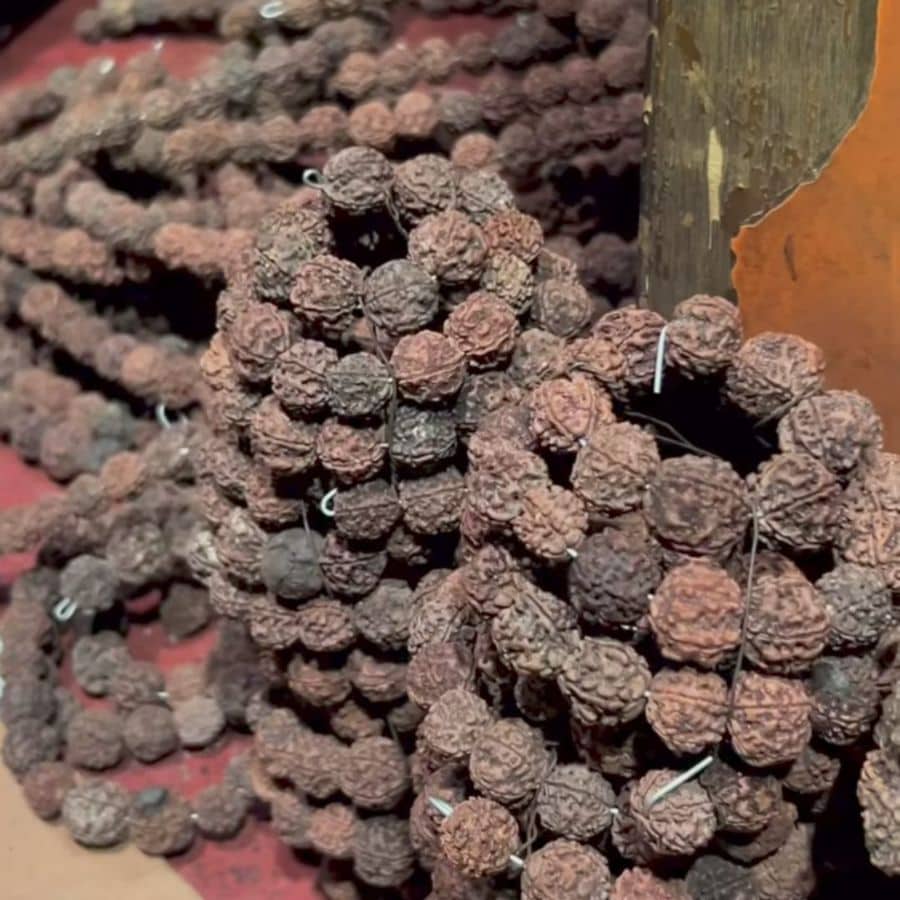 থিম 'অমৃতকুম্ভের সন্ধানে', যা আসলে প্রয়াত সাহিত্যিক সমরেশ বসুর জন্মশতবর্ষে এক বিশেষ শ্রদ্ধার্ঘ্য। 